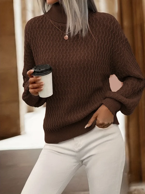 Women's Casual Solid Color High-Neck Long-Sleeve Pullover Sweater for Autumn/Winter High Quality Knit Tops - Image 3